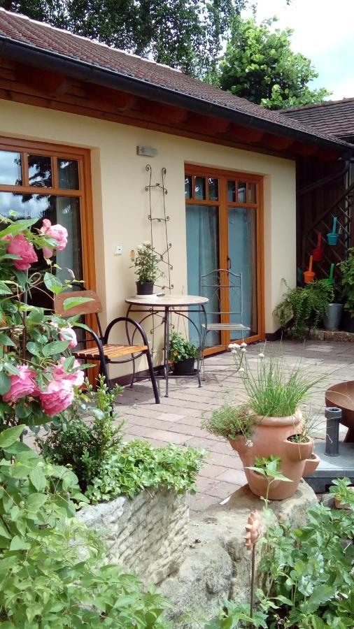 Apartment Mit Gartenblick Eckersdorf Екстериор снимка