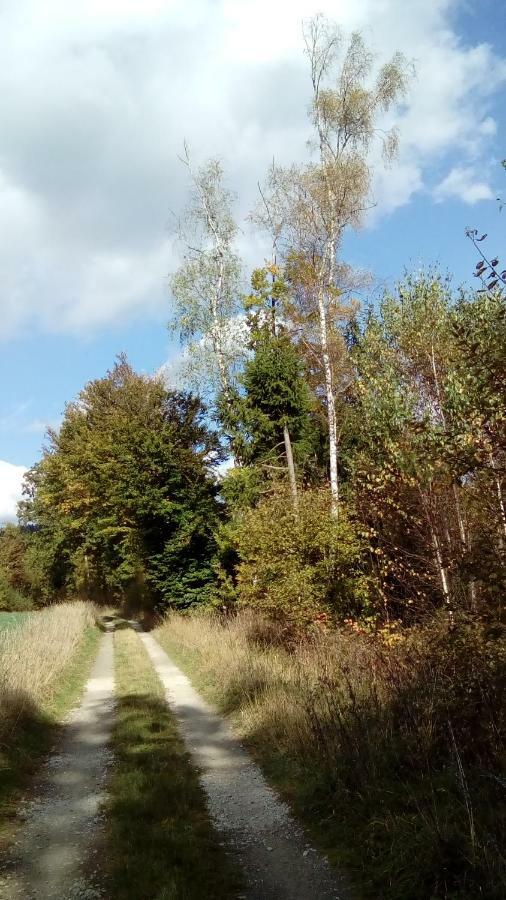 Apartment Mit Gartenblick Eckersdorf Екстериор снимка