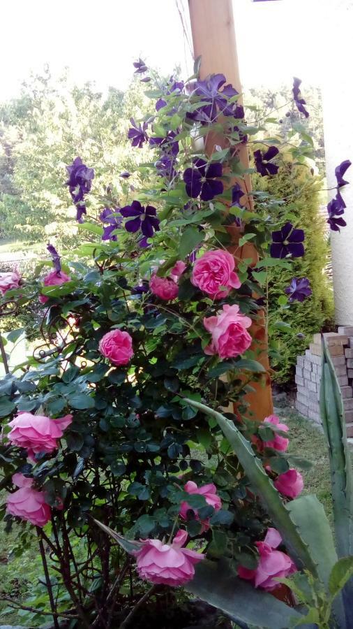 Apartment Mit Gartenblick Eckersdorf Екстериор снимка