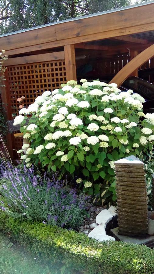 Apartment Mit Gartenblick Eckersdorf Екстериор снимка