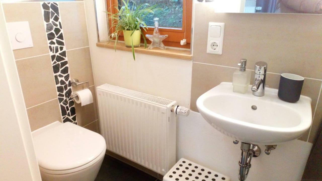 Apartment Mit Gartenblick Eckersdorf Екстериор снимка